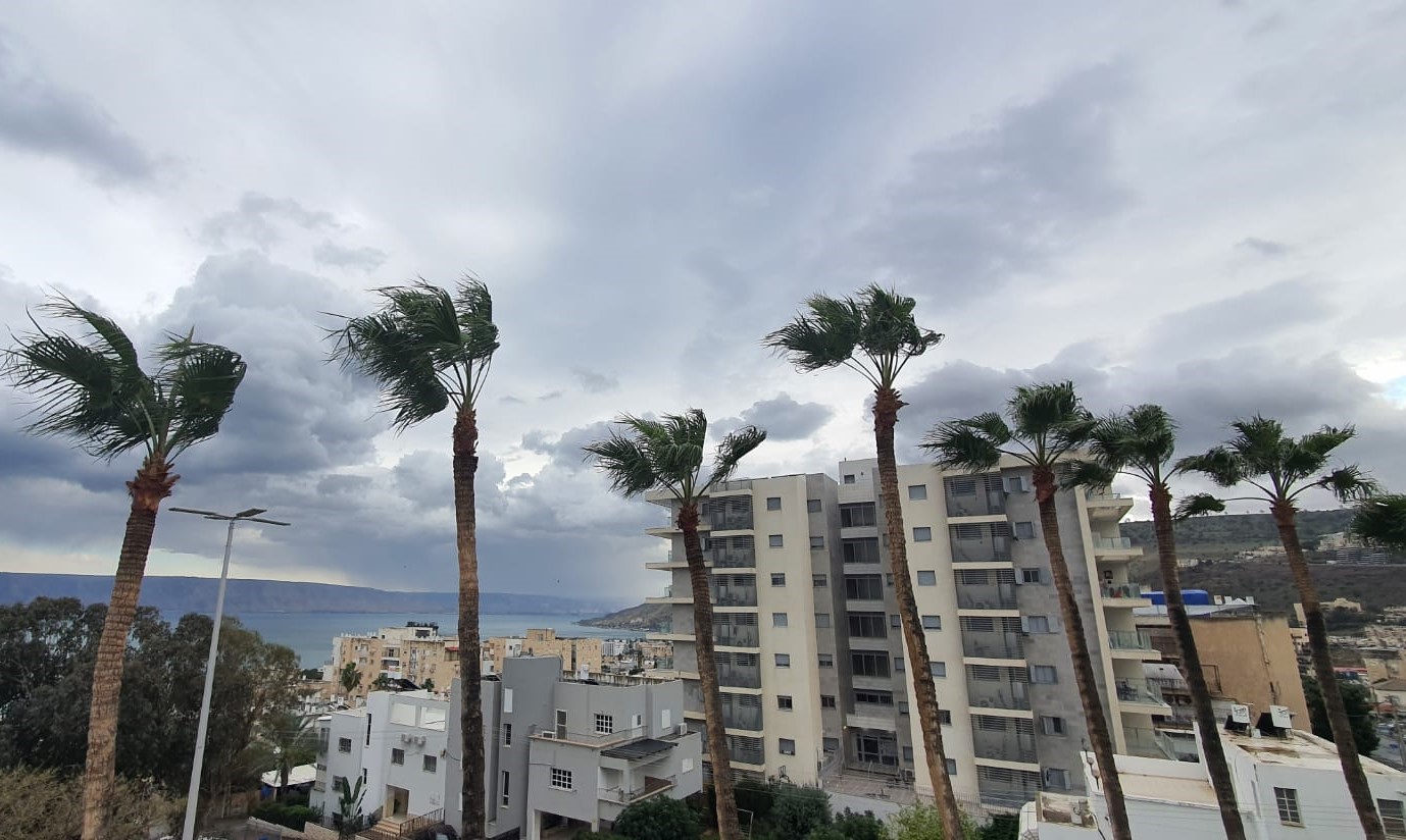תמונה של החוף בחורף