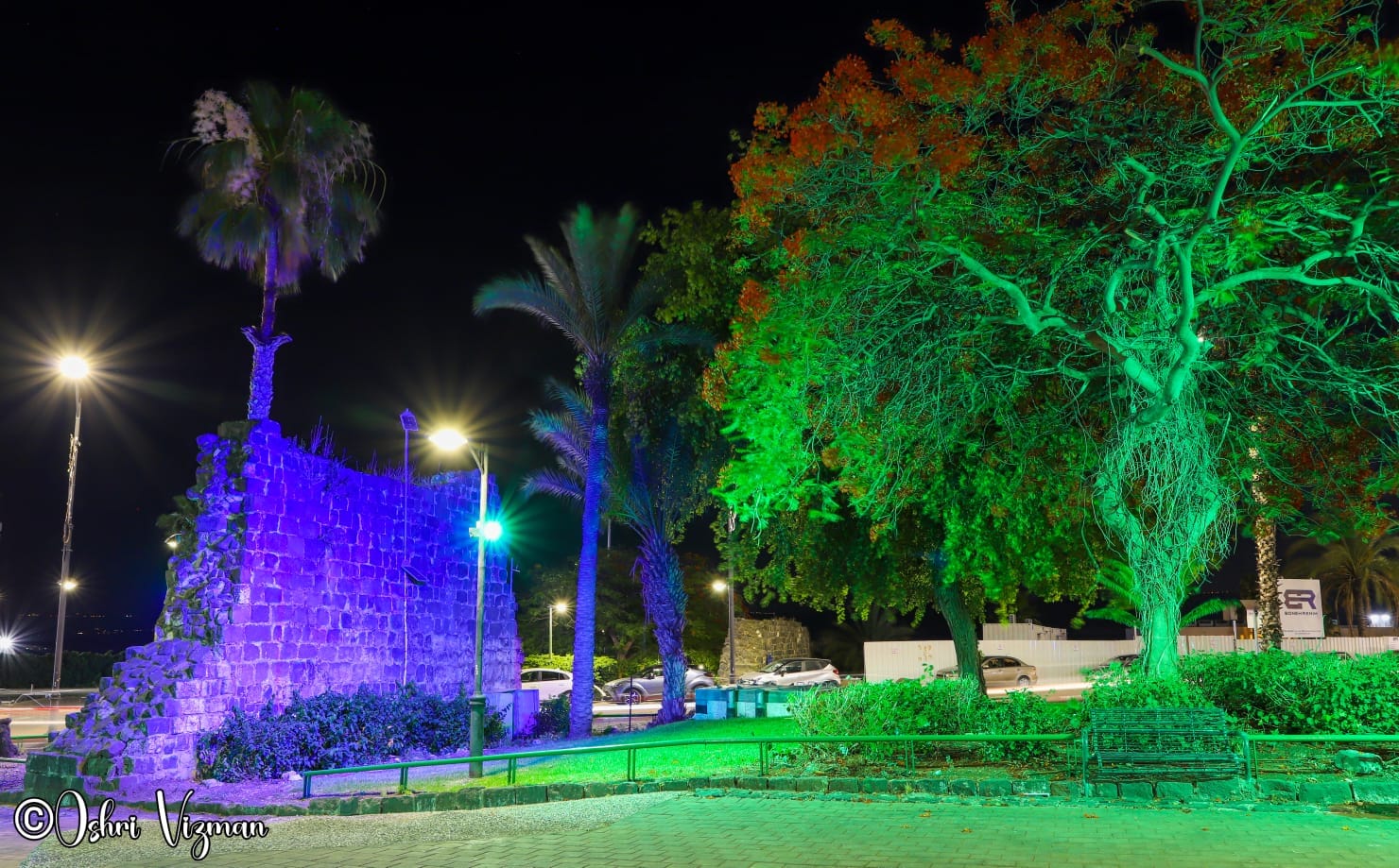 גנים מוארים