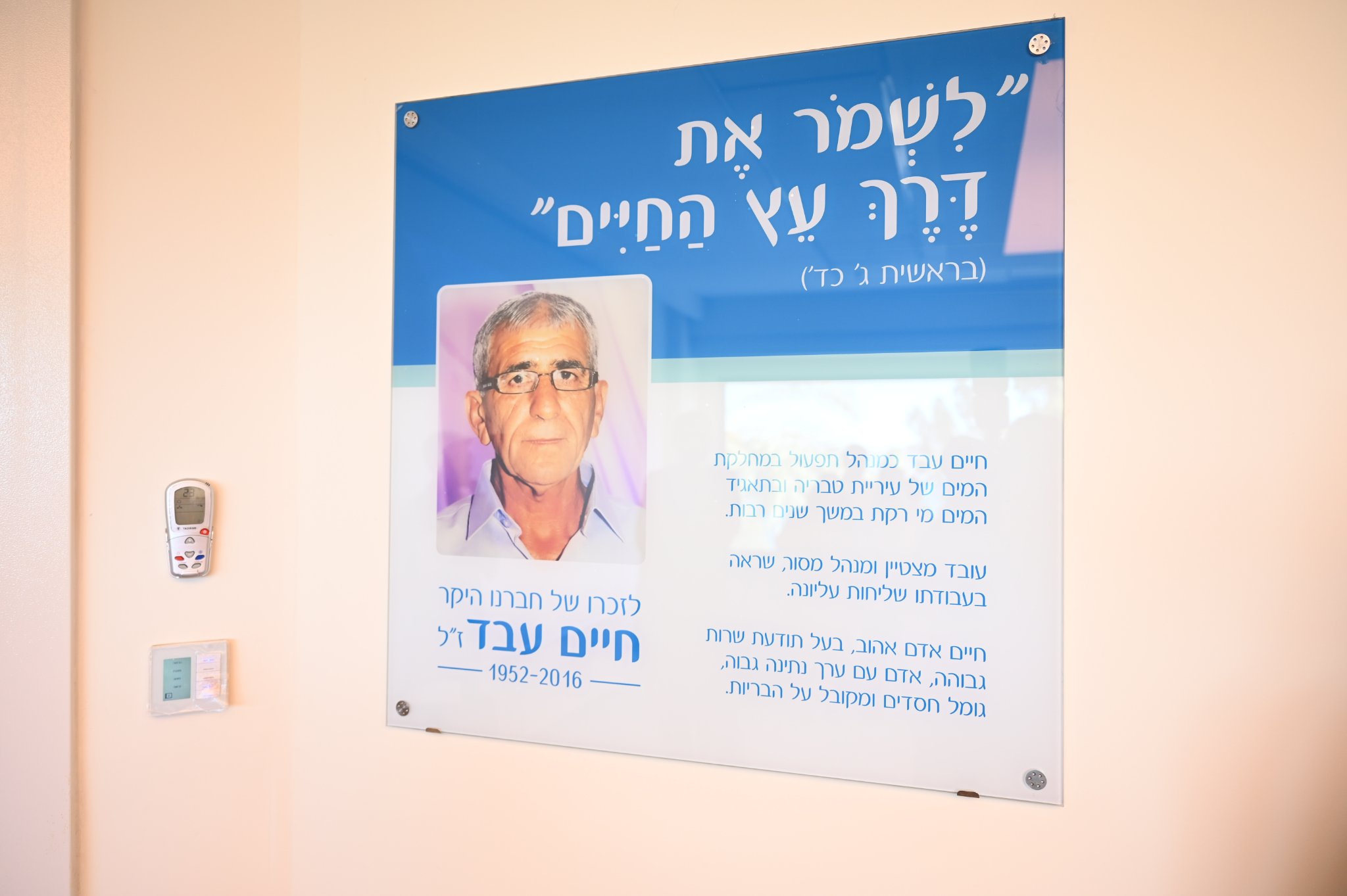 שלט