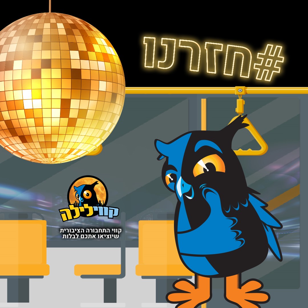 פוסטר קווי לילה